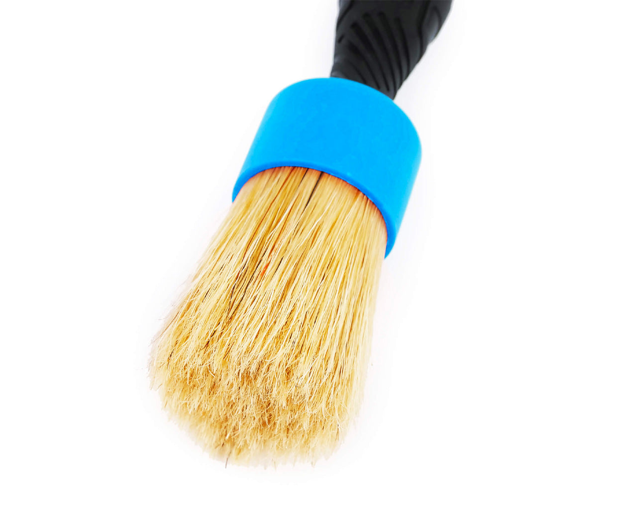 Maxshine Natural Boars Hair Detailing Stubby Brush - Blue