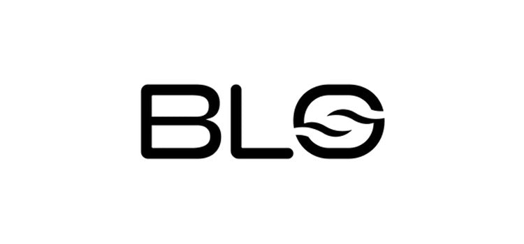 BLO Car Dryer